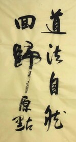 道法自然  杨克东书法鸿鹄图片