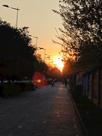 夕阳的路上