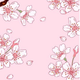 樱花插画