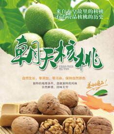 朝天核桃