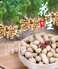 朝天小花生