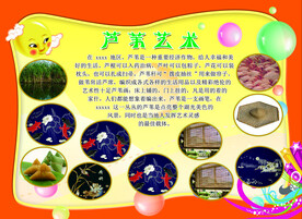 芦苇变身记