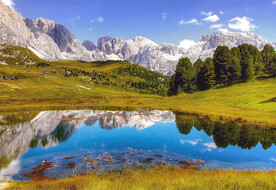风景