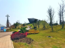 美丽的公园