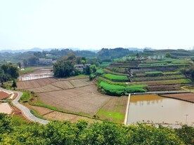 美丽的乡村风景