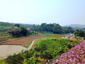 美丽的乡村风景
