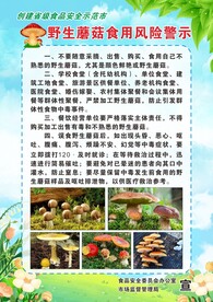 野生蘑菇食用风险警示