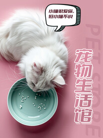 猫咪宠物馆海报