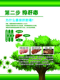 排肝毒
