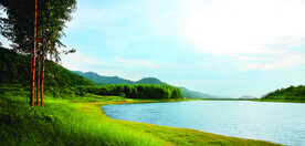 湖景风景