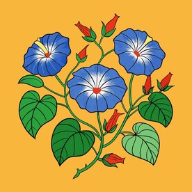中国传统风格的牵牛花