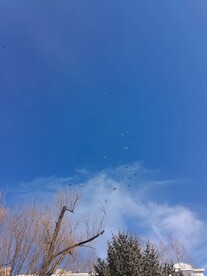 蓝天