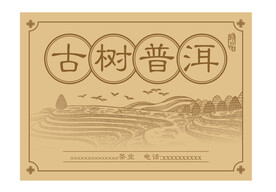 古树普洱