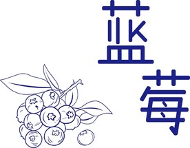 原创手绘蓝莓线稿
