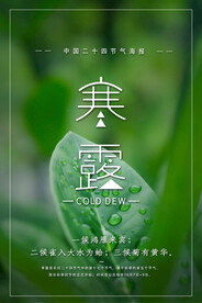 寒露节气海报