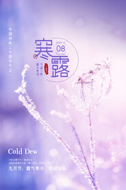 寒露节气海报