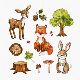 水彩森林动物元素
