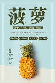 菠萝海报