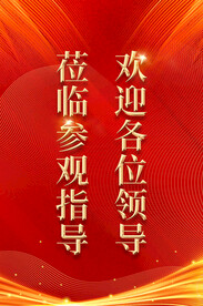 热烈欢迎领导莅临指导图片