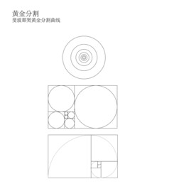 黄金分割黄金比例