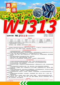 葵花籽 