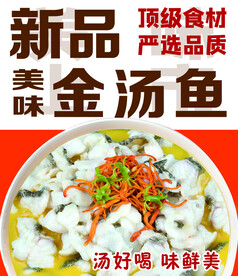 金汤鱼海报