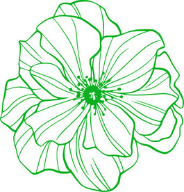 花形状