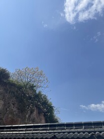 小山坡的天空