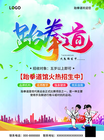 跆拳道海报
