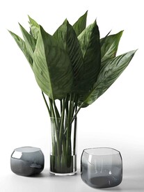 C4D模型 花瓶
