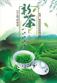 新茶