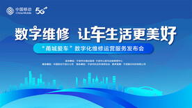 机动车维修综合服务活动