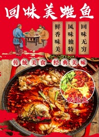 美蛙鱼