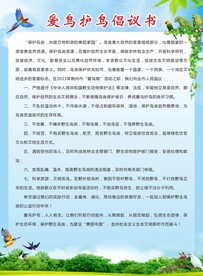 爱鸟护鸟倡议书