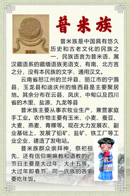 普米族海报