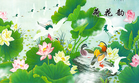 荷花韵