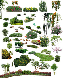 绿植素材免扣