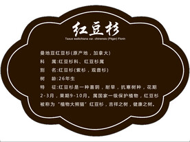 树牌 