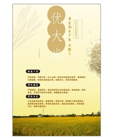 大米