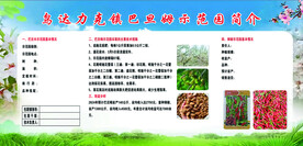 乌达力克镇巴旦姆示范园简价