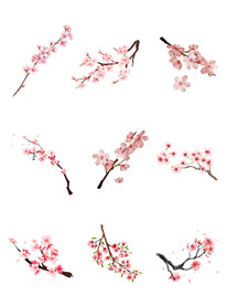 手绘卡通樱花装饰