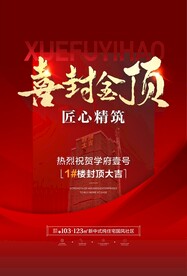 喜封金顶海报