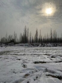 唯美雪景 
