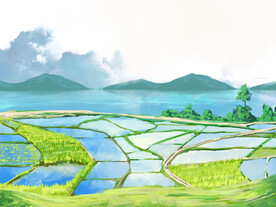 耕梯田水田田野秧田