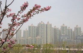 春天的住宅小区