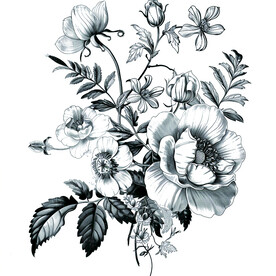 花枝