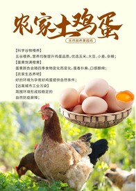 农家土鸡蛋