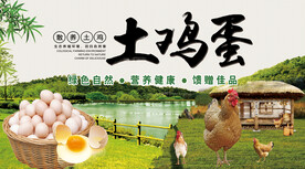 土鸡蛋