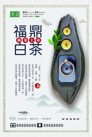 福鼎白茶