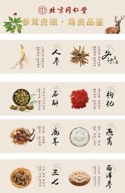 中药展板